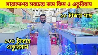 ১০০ টাকায় একুরিয়াম ফুল সেট-আপ কি সত্যিই সেরা পছন্দ?