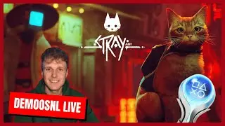 🔴 MET DE KAT AAN DE WANDEL | DeMoosNL PlayStation Stray | (Livestream Nederlands)
