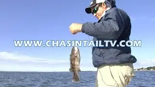 Jigging for Blackfish | Chasin' Tail TV