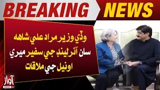 Chief Minister Murad Ali Shah Meets Ireland&rsquo;s Ambassador Mary O&rsquo;Neill | Breaking News  | Awaz TV