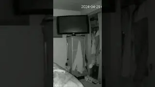IR home security camera captures this
