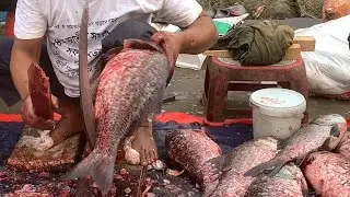 wow big big size katla fish cutting live skills by expert fish cutter in Fishmarket 