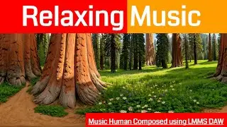 VR 360&deg; || Blooming like an Angel | Full relax with soothing music - Let the Movie Play