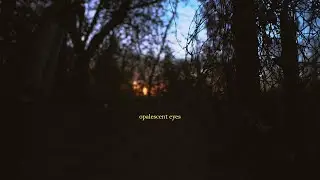 Max Bliss - Opalescent Eyes (Lyric Video)
