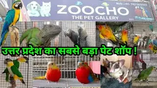 Pet shop in #Lucknow | Best and biggest pet shop in Uttar Pradesh | ZooCho The Pet Gallary
