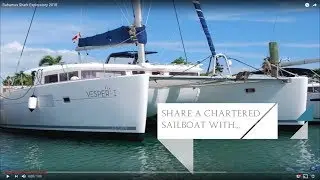 Swim With Sharks Bahamas January 2018 - Only One Spot Left