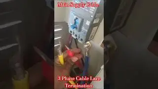 3 Phase Main Supply Cable | 😭 Cable Lace Termination #mcb #shorts #cable