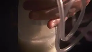 Milk sisters