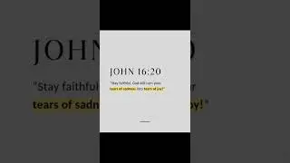 John 16:20