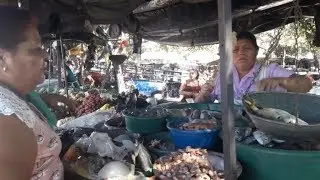 En Busca de Pescado Fresco en el Mercado de Lourdes🦀🦐🐬 El salvador 4x4