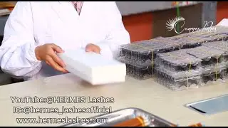Why Choose Hermeslashes Eyelashes Wholesale Manufacturer As Your Supplier? | World Eyelash Pioneer