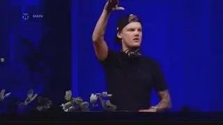 Wesley Torres - Avicii