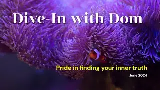Pride in finding your inner truth (from Dive-In with Dom &ndash; June 2024)
