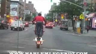 WILDEST RIDE 7