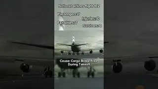 National Airlines Flight 102 Crash animation