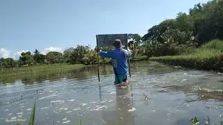 Naglagay po ako ng plaka o sign board dito sa fishpond(BFAR CAR SAAD PROGRAM)