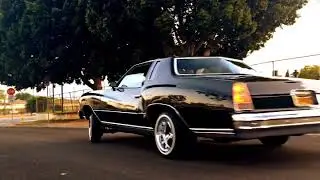 Brujo 76 - VyalOne X RNP