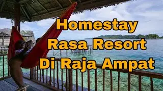 Wow! Ada Homestay Begini di Misool Raja Ampat