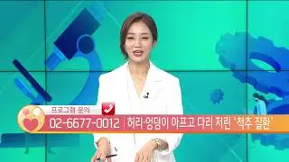 [연세본사랑병원] 척추클리닉 강정우 원장, 한국경제TV 건강매거진｜허리, 엉덩이 아프고 다리 저린 '척추 질환'