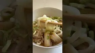 Chicken Negi Udon