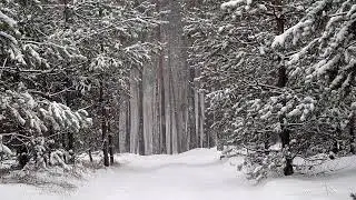 Winter Romance in the Pines Ambience Ambience for an hour!🌲❄️🔥