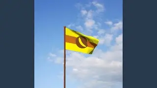 Vysledsky