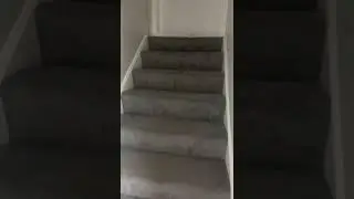 Transportation behind the scenes￼