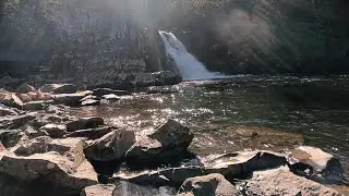 Hiking to abrams falls cades cove TN from my house. Bet yall can't...😎😆