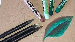 COMO PINTAR FOLHA COM GIZ PASTEL OLEOSO E MATERIAIS QUE EU USO