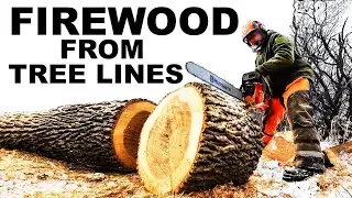 FARM TREE LINE LOGGING!