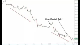 Bear Market Rally | English Lesson