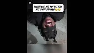 Deshae wears Batman costume on first day of capaholics subathon 😂#deshaefrost #ddg #capaholics