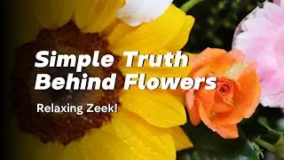 A Beautiful World of Flowers 🌸 | Relaxing Journey Through Nature&rsquo;s Blooms