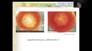 La biodynamie permet-elle de produire des aliments de qualit&eacute; ?