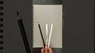 I'm loving this grey toned paper #arttransition #shortvideo #viral #gardenart