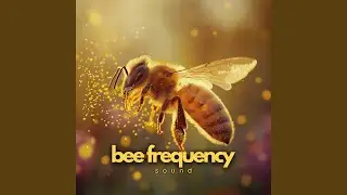 Bee Hive ASMR