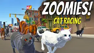 Zoomies! Cat Racing 😺| Gameplay