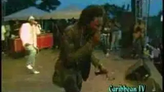 Jamaica Movado