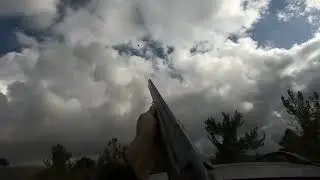 Crow hunting in Lebanon - صيد الغراب في لبنان