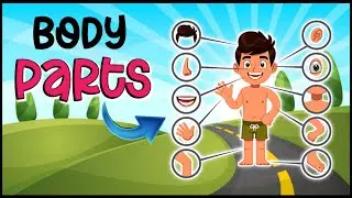 Learn Body Parts | Parts of the Body in English | Human Body Parts | Basic English Learning for Kids