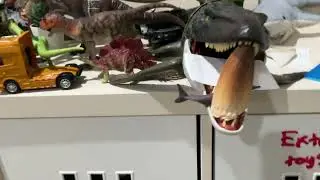 I organize my dinosaurs and shark and two extinct teeth like T-Rex and mosasaurus