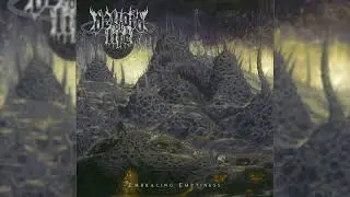 Devoid Of Life - Embracing Emptiness (2022) [Full Album] HQ