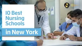10 Best Medical Schools in New York 2021