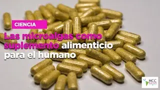 Las microalgas como suplemento alimenticio para el humano