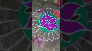 Rangoli colour full kolam 🏵️🏵️🏵️🏵️
