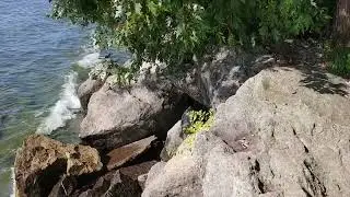 Walk from Lakeshore to the lake Ontario