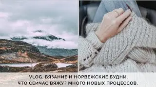 VLOG 59/2020 | ЧТО СЕЙЧАС ВЯЖУ? | МНОГО НОВЫХ ПРОЦЕССОВ | SEPTEMBER 🍁 SWEATER | ХУДИ ДЛЯ МУЖА