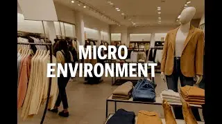 The Micro Environment Explained | Grade 10