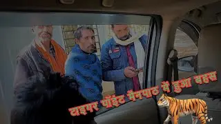 मैनपाठ जा रहे हैं तो इससे जरूर देखें  || Tiger 🐅 Point  ||  Parking Wala Se  Bahas 😡👹👹 #Tigerpoint 