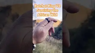Ratchet Ring V2 | Project Ratchet | Take it Everywhere #edc #wearabletech #fidget